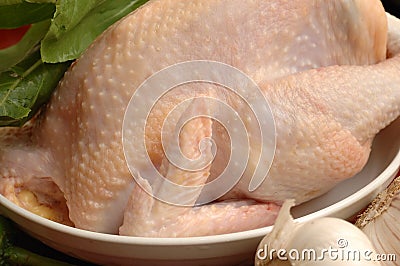 Chicken for cooking Stock Photo