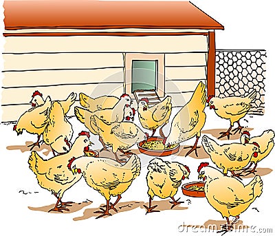 Chicken Coop Stock Photo