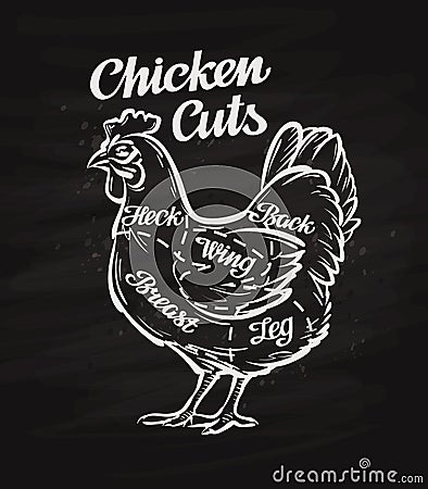 Chicken cuts. template menu design for restaurant, cafe Vector Illustration