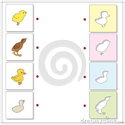 Chicken, duckling, poult and swan chick. Educational game for kids Vector Illustration