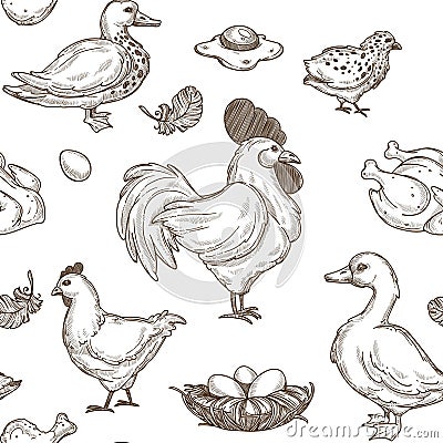 Chicken and ducks sketch pattern background. Vector seamless Vector Illustration