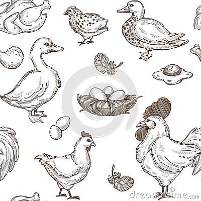 Poultry farm vector seamless sketch pattern background Vector Illustration