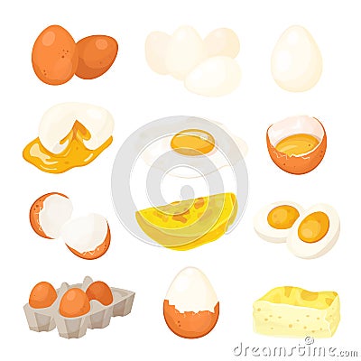 Chicken egg set, farm natural fresh ingredient Vector Illustration