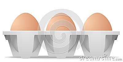 Chicken eggs in carton egg box Vector Illustration