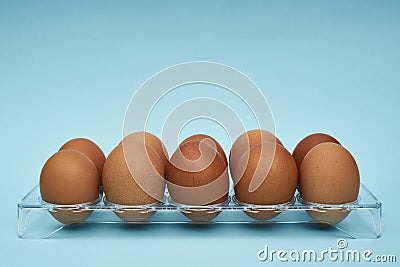 Chicken eggs in an egg holder. Full tray of eggs. Half an egg, egg yolk, shell. Food, protein in foods. Stock Photo