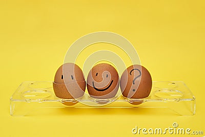 Chicken eggs in an egg stand. Tray for eggs. Half an egg, egg yolk, shell. Emotions and facial expressions on eggs, a Stock Photo