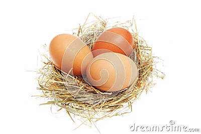 glass paper water in holds Photos Eggs Image:  7835563 Chicken In Stock Nest