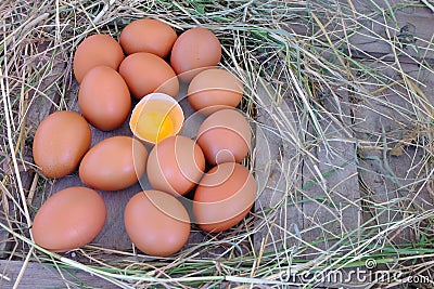 Chicken eggs in nest of straw on old wooden background. Stock Photo