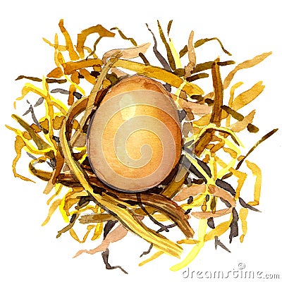 Chicken eggs in the nest of straw. Stock Photo