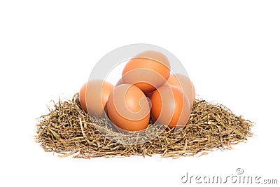 Chicken eggs in a nest on white background Stock Photo