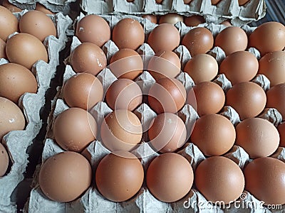 chicken eggs placed on the egg tray Stock Photo