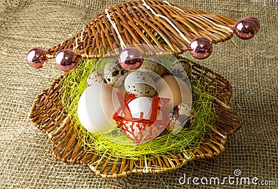 Chicken eggs and quail eggs Guinea fowl egg lie together like pearls in a shell on a wooden table Stock Photo