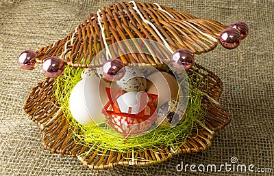 Chicken eggs and quail eggs Guinea fowl egg lie together like pearls in a shell on a wooden table Stock Photo