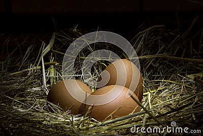 Chicken eggs in a straw nest Stock Photo