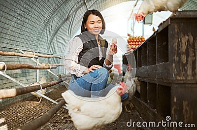 Chicken eggs, woman and farmer check barn for agriculture inspection, quality control or eco bird production. Poultry Stock Photo