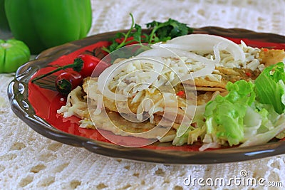 Chicken Enchiladas with green sauce Stock Photo