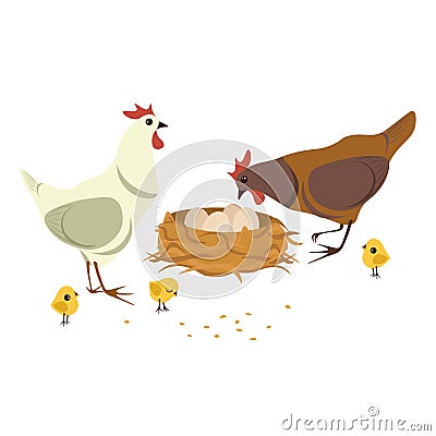 Chicken family characters. Chickens, chicks, nest with eggs and feed. Flat design vector illustration Cartoon Illustration