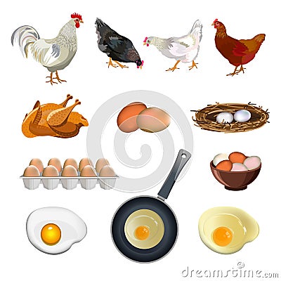 Chicken farm set Vector Illustration