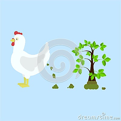 Chicken fertilizing the land Vector Illustration