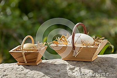 Chicken and goose eggs in mini baskets Stock Photo