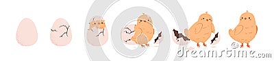 Chicken hatching from egg stages, breaking shell. Cute yellow chick cracking eggshell. Birth, growth process of little Vector Illustration