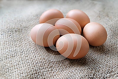 Chicken/Hen eggs in sackcloth. Stock Photo