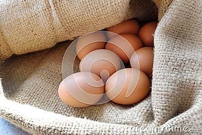 Chicken/Hen eggs in sackcloth. Stock Photo