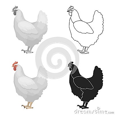 Chicken icon in cartoon style isolated on white background. Bird symbol stock vector illustration. Vector Illustration