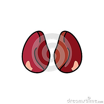 Chicken kidneys color line icon. Cutting meat. Vector Illustration