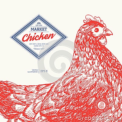 Chicken market design template. Engraved Vector Illustration