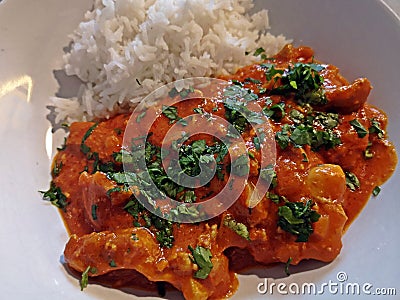 Chicken massala with rice on a plate Stock Photo