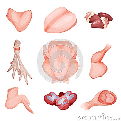 Chicken meat part set, parts of carcass, brisket wing, fillet, heart, legs, gizzard vector Illustrations on a white Vector Illustration