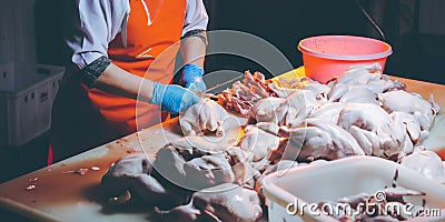 Chicken meat production Stock Photo