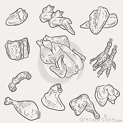 Chicken meat set vector, doodle art uncooked chicken Vector Illustration