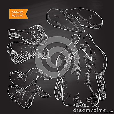 Chicken meat vector Vector Illustration