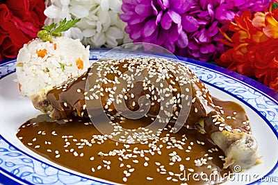 Chicken Mole Mexican Dish Stock Photo