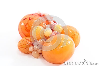 Chicken Ovary Stock Photo