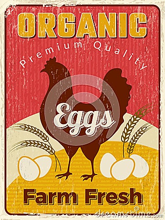 Chicken poster. Fresh egg healthy farm food vector design placard Vector Illustration