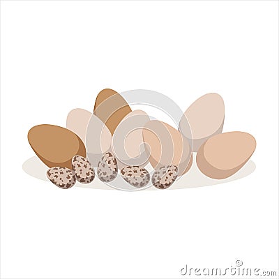 Chicken and quail eggs, baking ingredient vector Illustration Vector Illustration