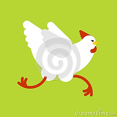 Chicken running isolated. Chicken run. vector illustration Vector Illustration