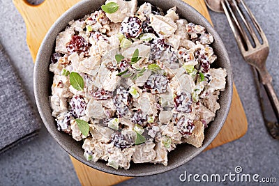 Chicken salad with dried cherry Stock Photo