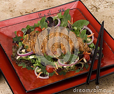 Chicken Salad Stock Photo