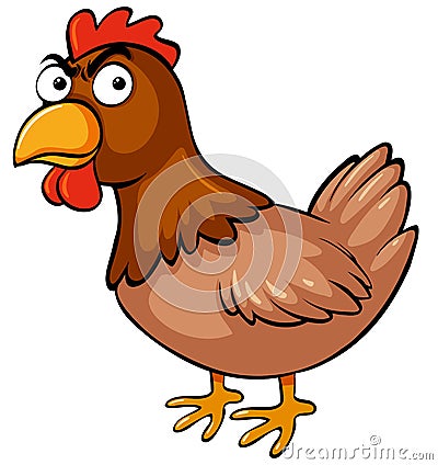 Chicken with serious face Vector Illustration