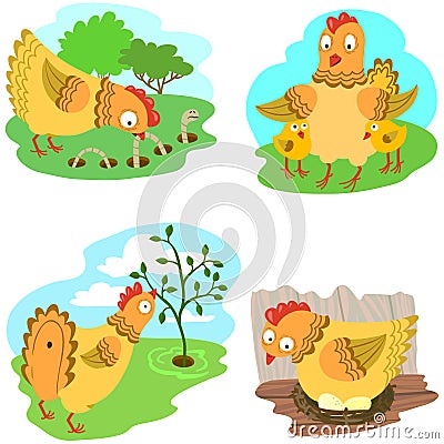 Chicken set Vector Illustration