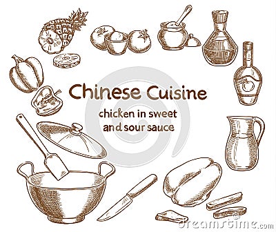 Chicken in sweet and sour sauce, ingredients Vector Illustration