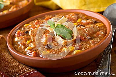 Chicken Tortilla Soup Stock Photo