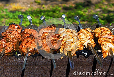 Chicken and veal kebabs barbecues on grill Stock Photo