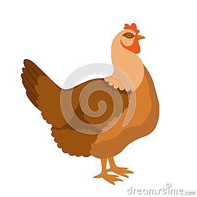 Chicken vector style Flat color profile Vector Illustration