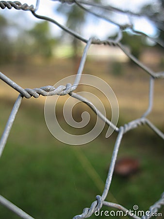 Chicken wire Stock Photo