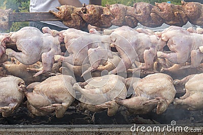 Chickens Baking On A Grill Stock Photo